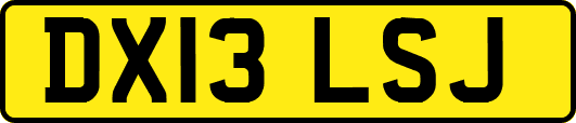 DX13LSJ