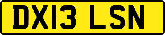 DX13LSN