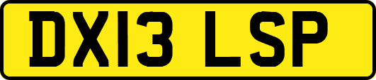 DX13LSP