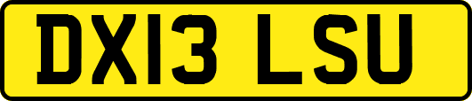 DX13LSU