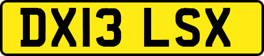 DX13LSX