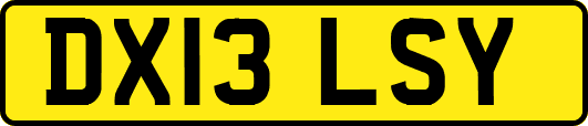 DX13LSY