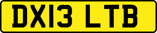 DX13LTB