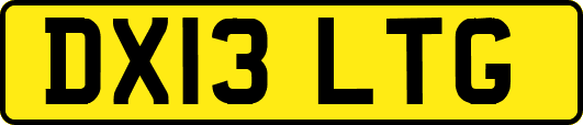 DX13LTG