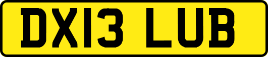 DX13LUB