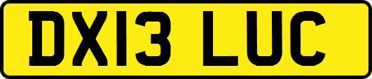 DX13LUC