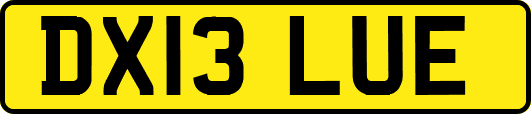 DX13LUE
