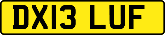 DX13LUF