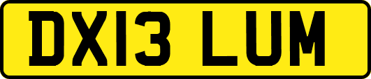 DX13LUM