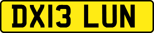 DX13LUN