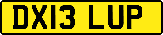DX13LUP
