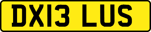 DX13LUS