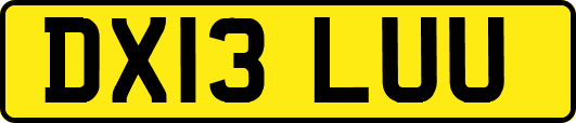 DX13LUU