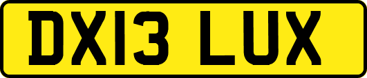 DX13LUX