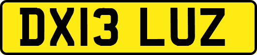 DX13LUZ