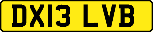 DX13LVB