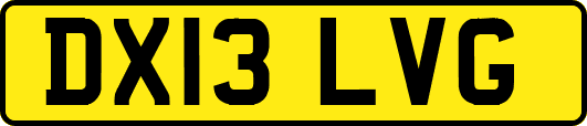 DX13LVG