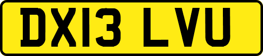 DX13LVU
