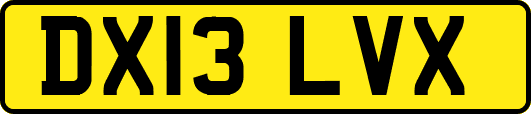 DX13LVX
