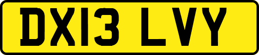 DX13LVY