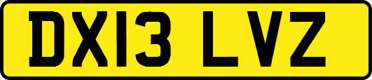 DX13LVZ
