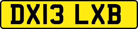 DX13LXB