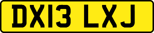DX13LXJ