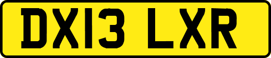 DX13LXR