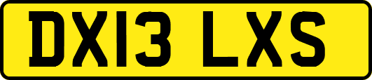 DX13LXS
