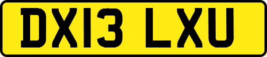 DX13LXU