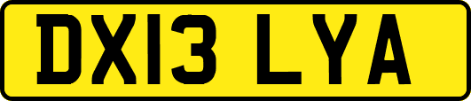 DX13LYA