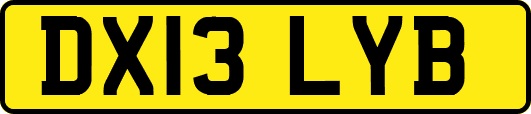 DX13LYB