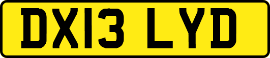 DX13LYD