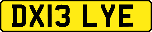 DX13LYE