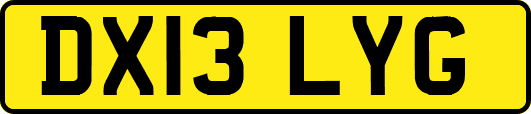 DX13LYG