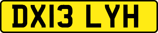 DX13LYH
