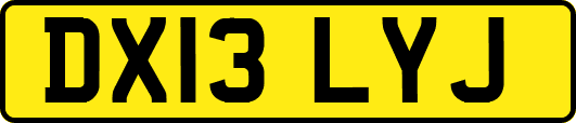 DX13LYJ