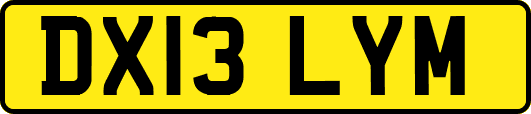 DX13LYM
