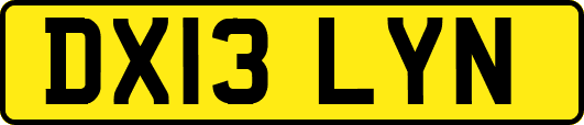DX13LYN