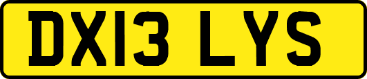 DX13LYS