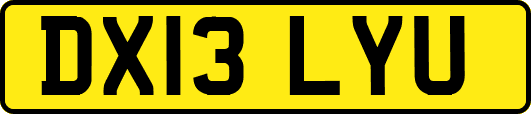DX13LYU