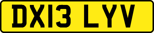 DX13LYV
