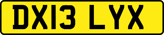 DX13LYX
