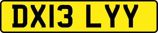 DX13LYY