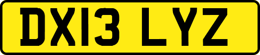 DX13LYZ