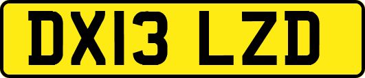 DX13LZD
