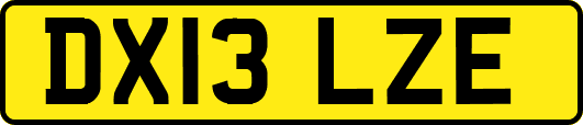 DX13LZE