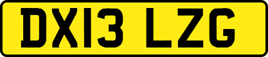 DX13LZG