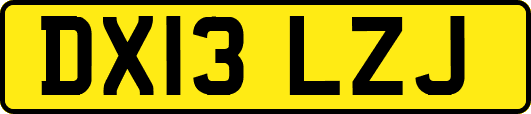 DX13LZJ