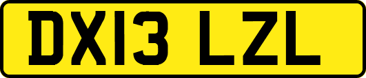 DX13LZL